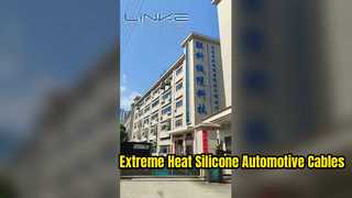 Dongguan Lianke কেবল প্রযুক্তি কোং, লিমিটেডের কারখানা পরিচিতি।