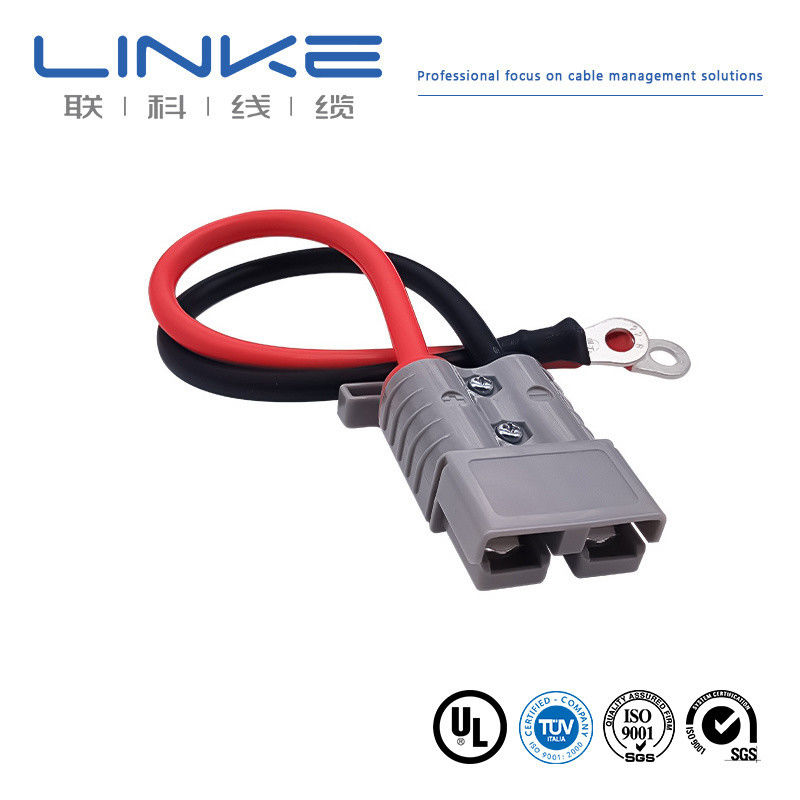 প্লাগ সংযোগকারী 8AWG সৌর প্যানেল সংযোগকারী তারের 50A/600V বিজ্ঞাপন পোর্ট অ্যাডাপ্টার 300mm সৌর সংযোগকারী তারের
