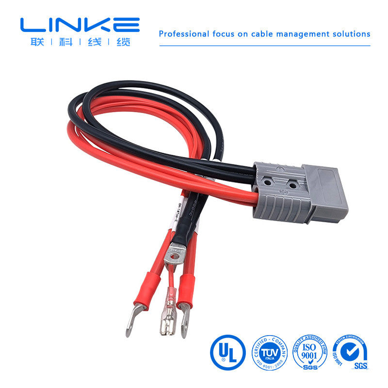 প্লাগ সংযোগকারী 8AWG সৌর প্যানেল সংযোগকারী তারের 50A/600V বিজ্ঞাপন পোর্ট অ্যাডাপ্টার 300mm সৌর সংযোগকারী তারের
