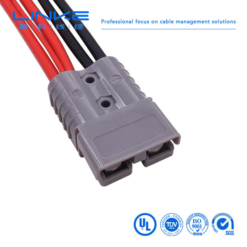 প্লাগ সংযোগকারী 8AWG সৌর প্যানেল সংযোগকারী তারের 50A/600V বিজ্ঞাপন পোর্ট অ্যাডাপ্টার 300mm সৌর সংযোগকারী তারের