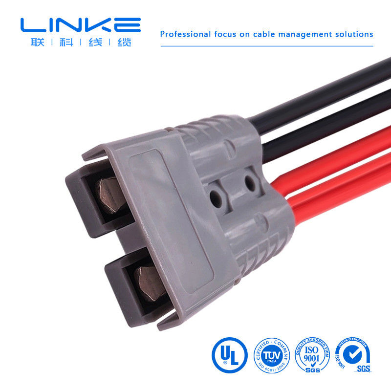 প্লাগ সংযোগকারী 8AWG সৌর প্যানেল সংযোগকারী তারের 50A/600V বিজ্ঞাপন পোর্ট অ্যাডাপ্টার 300mm সৌর সংযোগকারী তারের